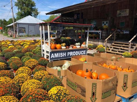 Amish produce near me - Hefling's Amish Farm Market. 5,394 likes · 55 were here. We specialize in beef, chicken and pork raised as naturally as possible without the use of steroids, antibiotics and growth hormones Hefling's Amish Farm Market 